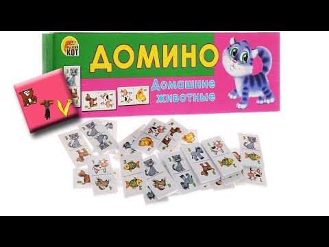 Как играть в детское домино с картинками и цифрами: правила игры, в чем ...