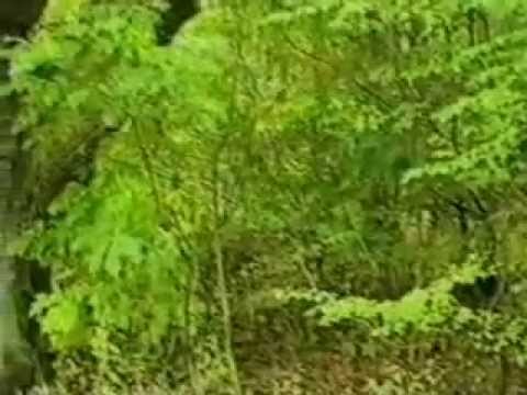 Grzegorz Halama   Archetypowy ojciec