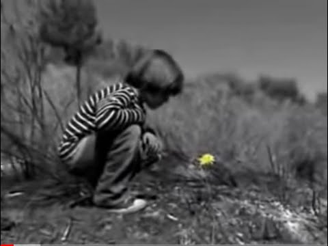 Goran Karan i Split Stars -Ovo nije kraj  (Official music video)