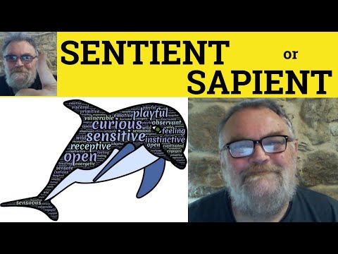 😎 Sentient Meaning - Sapient Definition - Sentient vs Sapient Examples - Sapient or Sentient
