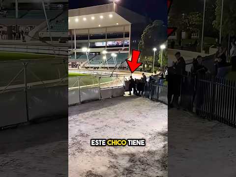 ¡Cómo Detener Una Carrera De Galgos!