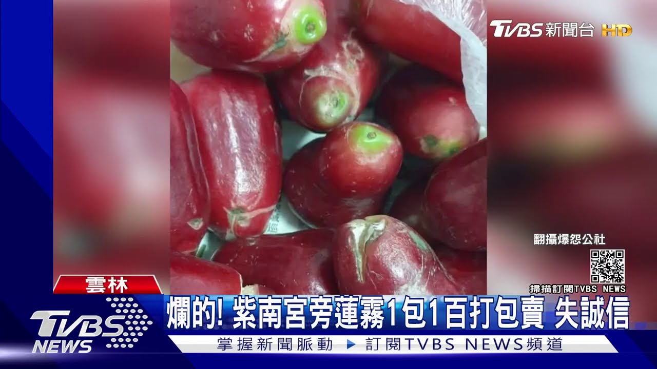 土地公面前欺負外地人 紫南宮旁蓮霧打包賣 發現爛果