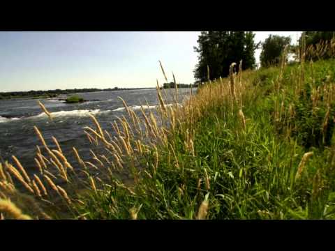 D'où je viens - trailer