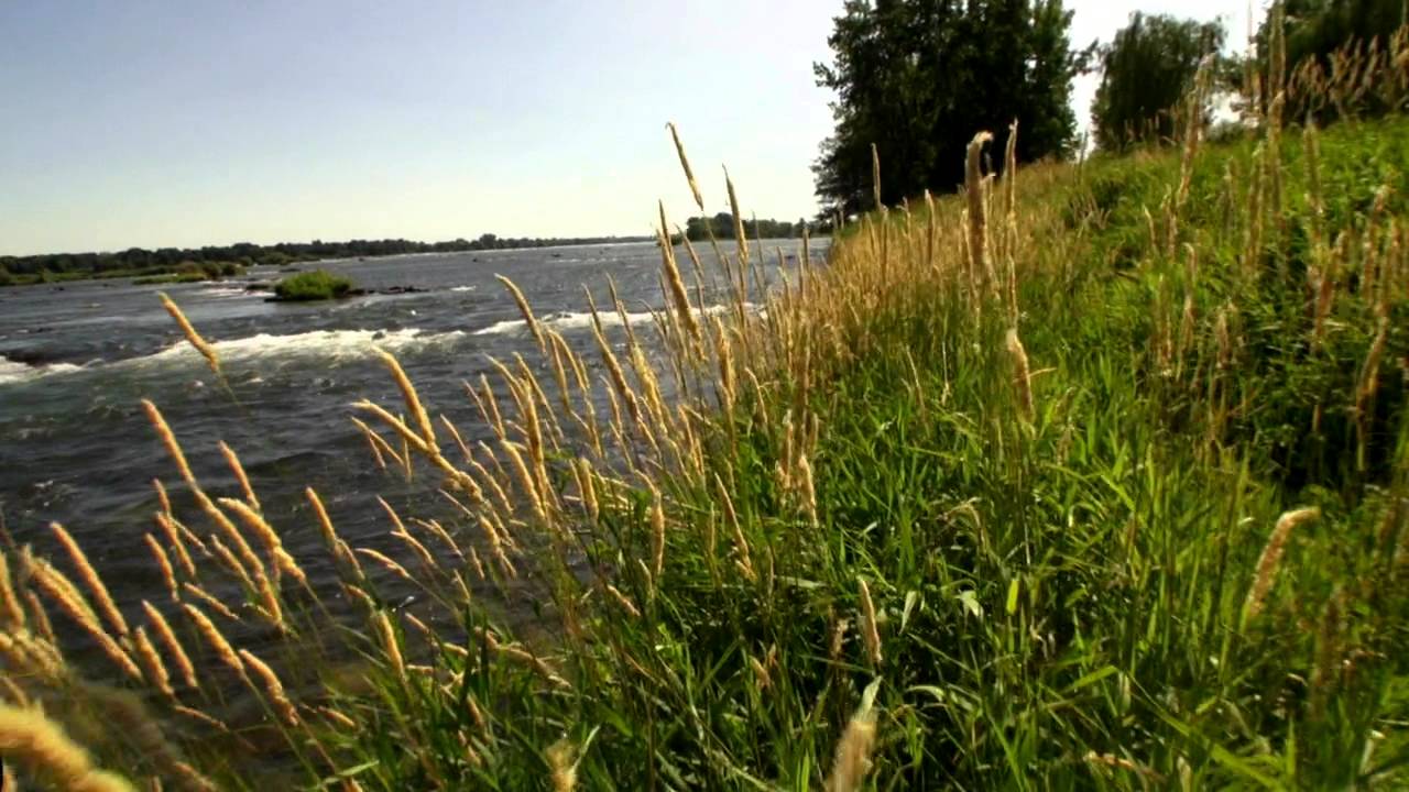 D'où je viens - trailer