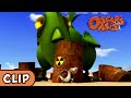Oscar S Oasis Chickzilla