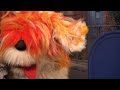 Sesame Street 4310 Afraid Of The Bark 2012
