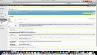 WordPress Social Media Plugin - How to Install (Step by Step Tutorial)