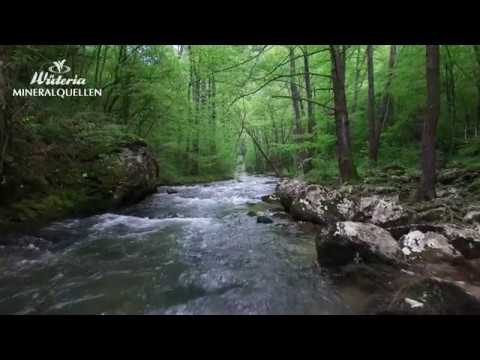 Wüteria Mineralquellen stellt sich vor