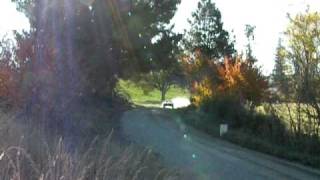 preview picture of video 'Mazda Rx7 Batman Rally Car - 2009 Coalgate rallysprint'