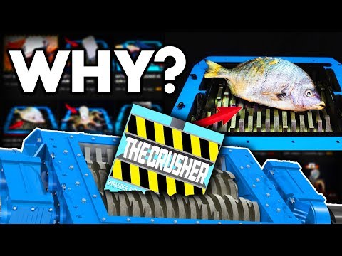 download lagu mp3 mp4 Combat Wombat, download lagu Combat Wombat gratis, unduh video klip Combat Wombat