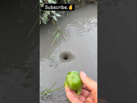 Amazing Water Vortex Experiment!? #whrilpool #experiment #experiments #vortex #waterexperiments