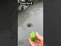 Amazing Water Vortex Experiment Whrilpool Experiment Experiments Vortex Waterexperiments