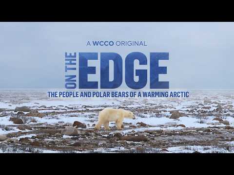 On The Edge: The People and Polar Bears of a Warming Arctic | 2025 documentary