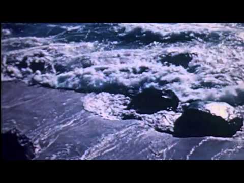 The Seed Coat - The Ripples In Kara Sea