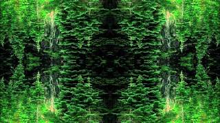 Blacklight - Rave Hard