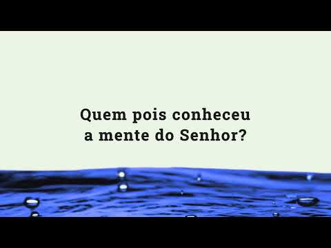 Riqueza - Stênio Marcius