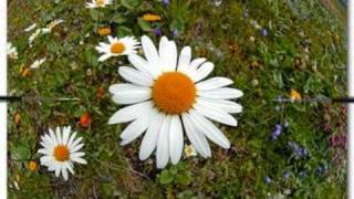 Coeur De Pirate ...La vie est ailleurs