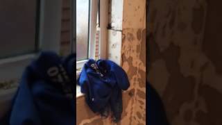 Video before we plastered bathroom