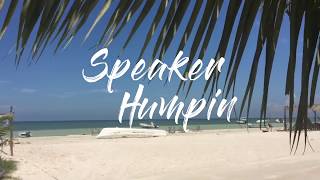 Thievery Corporation - State of the Union