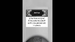 {أَفَمَن زُيِّنَ لَهُ سُوءُ عَمَلِهِ فَرَآهُ حَسَناً} لفضيلة الشيخ أحمد بن عمر الحازمي image