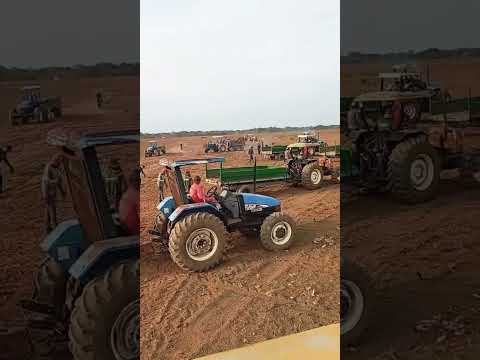 CATAÇÃO DE RAÍZES - LIMPEZA DE ÁREA - REGENERAÇÃO - PIAUI