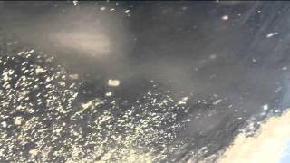 Carlos Niño & Friends featuring Dntel - Shapeshift Of Uranus