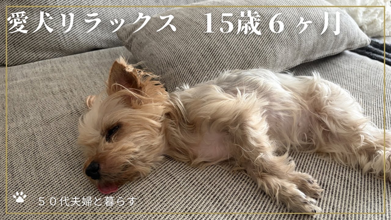 YouTubeサムネイル