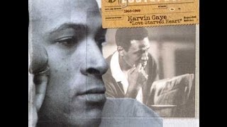 Marvin Gaye  - Just A Little Love (Before My Life Is Gone)
