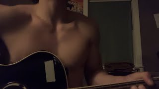 Dreaming of Snakes ~ Stephen Stills ~ Acoustic Song Cover