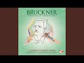 Symphony No. 3 in D Minor “Wagner”: III. Scherzo: Ziemlich schnell