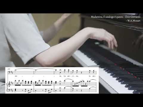 Madamina! il caralogo e questo "Don Giovanni" - W.A.Mozart / piano accompaniment /성악반주/karaoke/aria