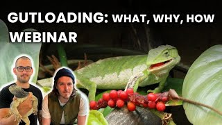 Gutloading Webinar with Project Herpetoculture