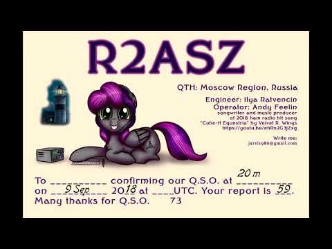 Andy Feelin a.k.a. R2ASZ/p - Worked All Europe radio amateur contest