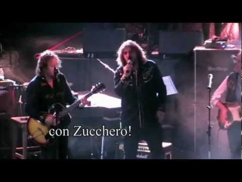 O.I.&B. Zucchero Tribute