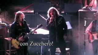 O.I.&B. Zucchero Tribute