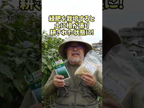 緑肥の播種方法 2023