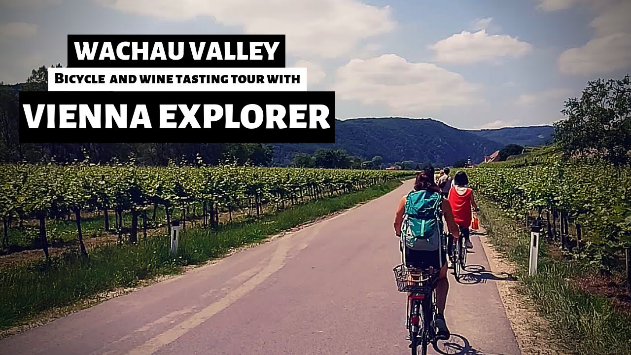 WACHAU VALLEY wine tasting Bike tour with VIENNA EXPLORER