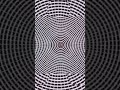 You NEED to try this, trust me.😨😳#trippy#illusion#interactive#woah#trythis#magic