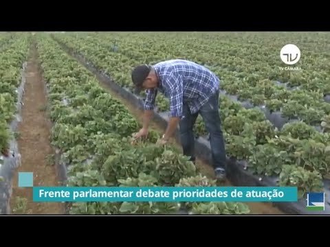 Frente da Agricultura Familiar debate prioridades para o setor frente à pandemia - 04/06/20