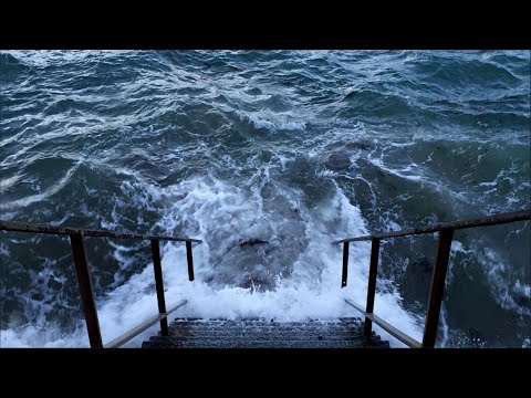 Zero Gr4vity - Intérieur nuit