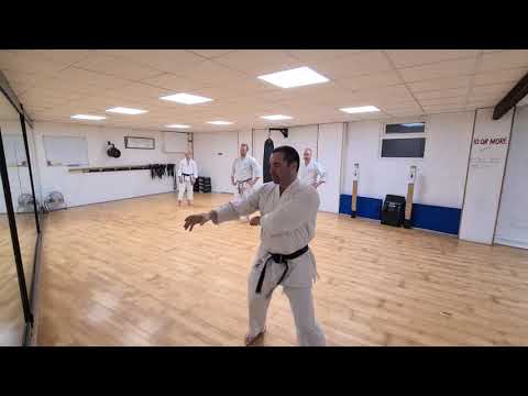 HDKI Headquarter Training - Tekki Sandan Highlights