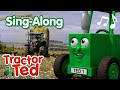 Amazing Maize Song 🎶 | Tractor Ted Sing-Along | Tractor Ted Official Channel