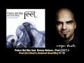 Pedro Del Mar feat. Emma Nelson - Feel (DJ Shah ...