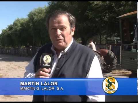 MARTIN LALOR / Saludo Fin de Año