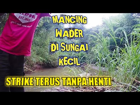 PINDAH SPOT MALAH PANEN! Sekali Lempar Langsung Diserbu Pasukan Wader
