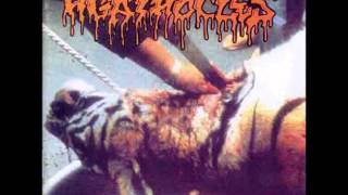 Agathocles - All Gone
