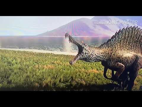 Waka Waka: A Tribute To African Animals (UPDATED!)