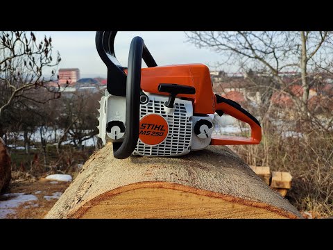 Legendary Stihl MS 250 chainsaw - first start, first cuts, big wood test, factory rpm and more !!!