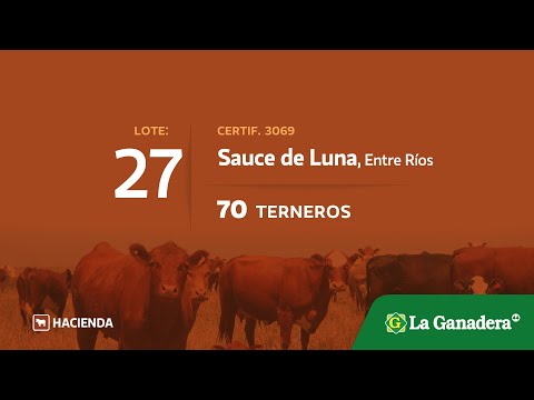 Lote Terneras en Sauce de Luna