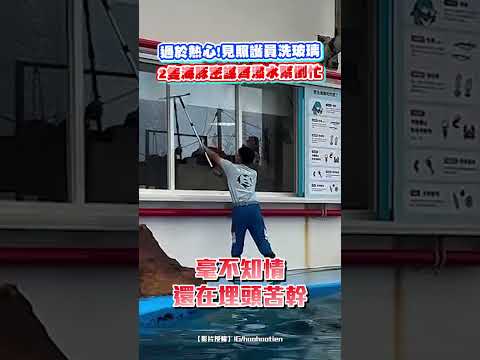 過於熱心！見照護員洗玻璃 2隻海豚密謀齊潑水幫倒忙｜觸咪 #shorts @Truemii